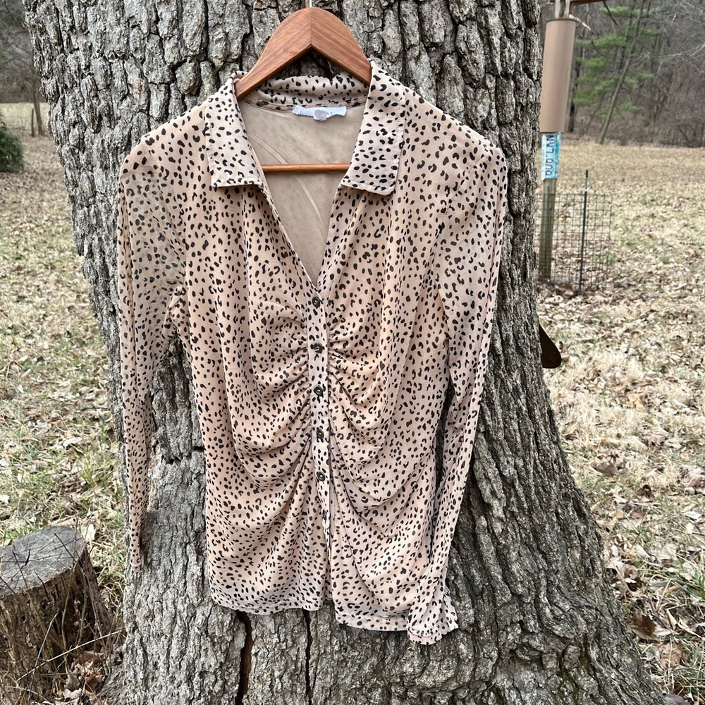⭐️Jane & Delancey Animal Print Blouse in size M